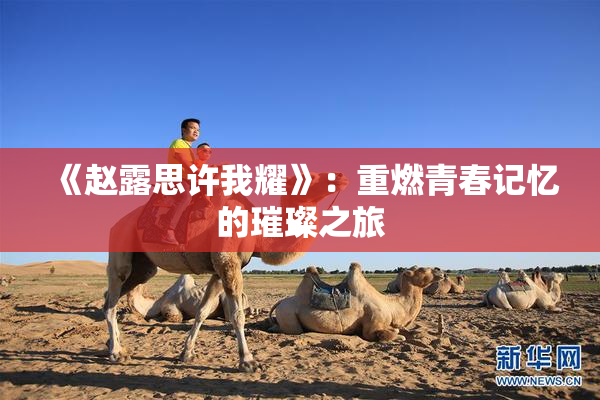 《赵露思许我耀》：重燃青春记忆的璀璨之旅