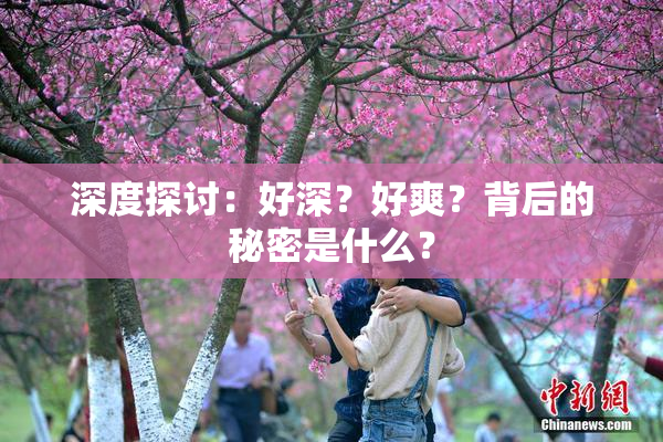 深度探讨：好深？好爽？背后的秘密是什么？