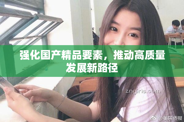 强化国产精品要素，推动高质量发展新路径