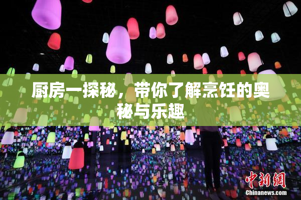 厨房一探秘，带你了解烹饪的奥秘与乐趣
