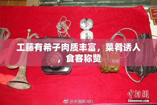 工藤有希子肉质丰富，菜肴诱人，食客称赞