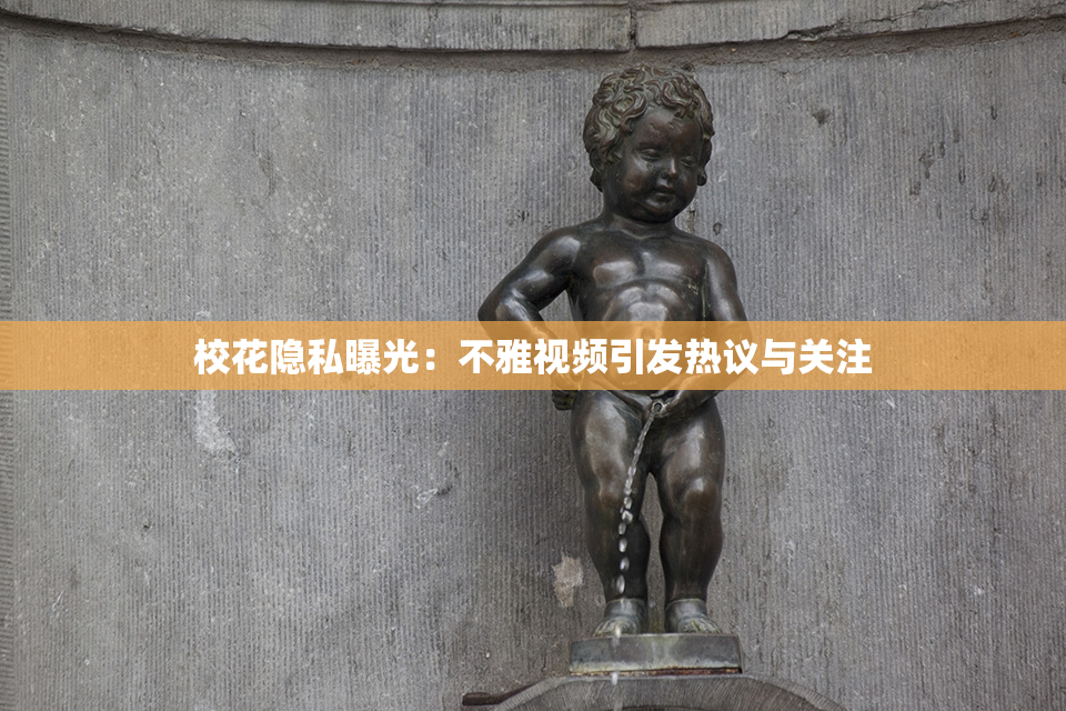 校花隐私曝光：不雅视频引发热议与关注