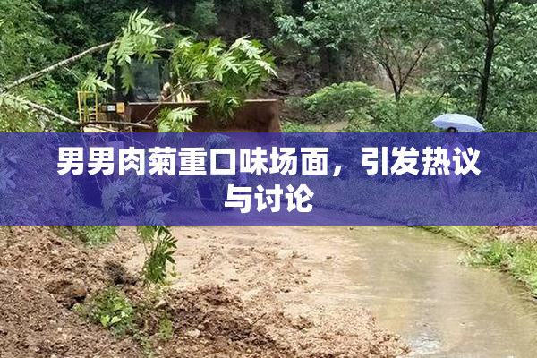 男男肉菊重口味场面，引发热议与讨论