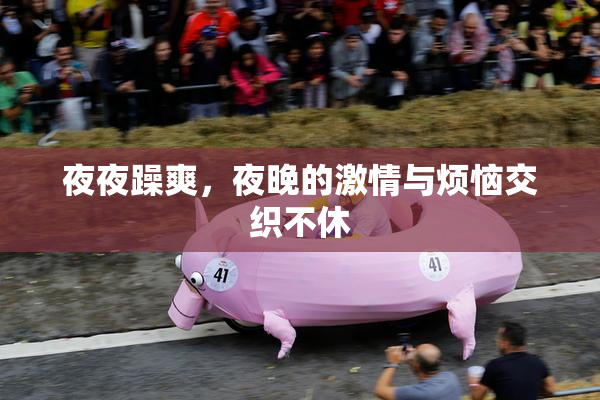 夜夜躁爽，夜晚的激情与烦恼交织不休