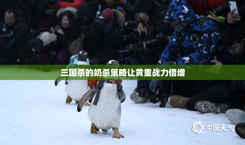 三国杀的奶杀策略让黄重战力倍增