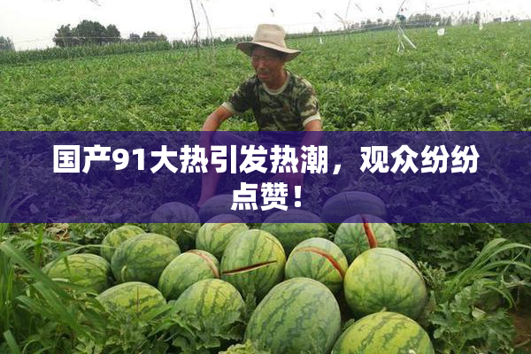 国产91大热引发热潮，观众纷纷点赞！