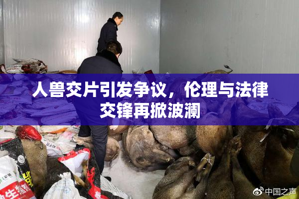 人兽交片引发争议，伦理与法律交锋再掀波澜