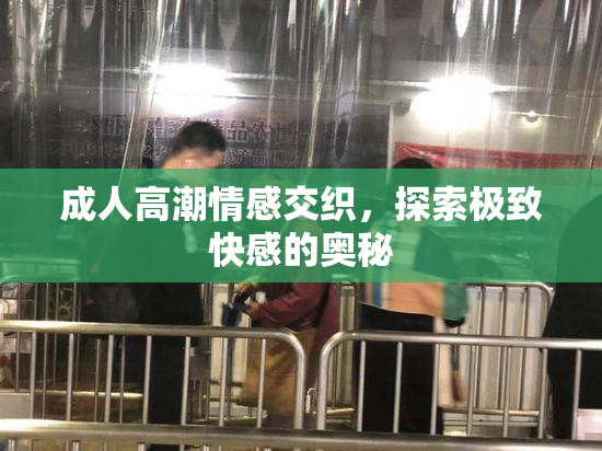 成人高潮情感交织，探索极致快感的奥秘