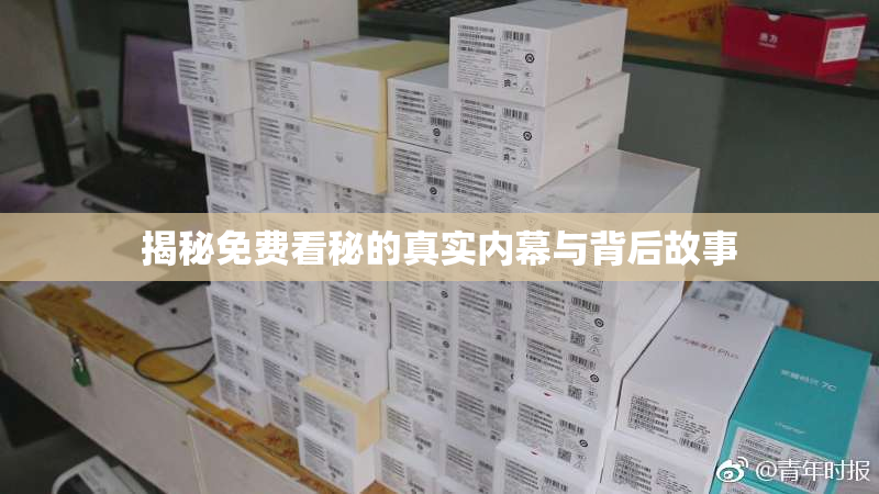 揭秘免费看秘的真实内幕与背后故事