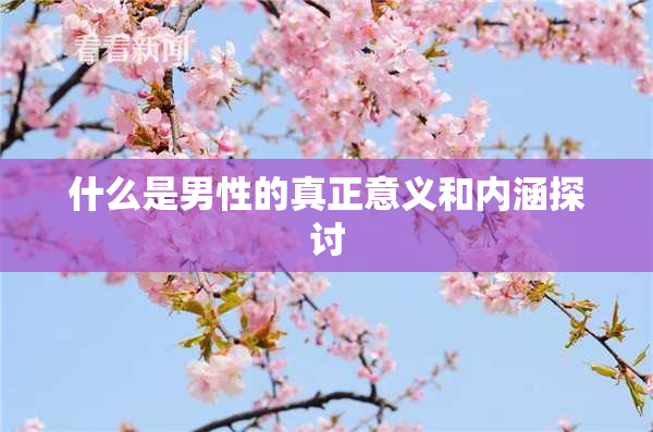 什么是男性的真正意义和内涵探讨