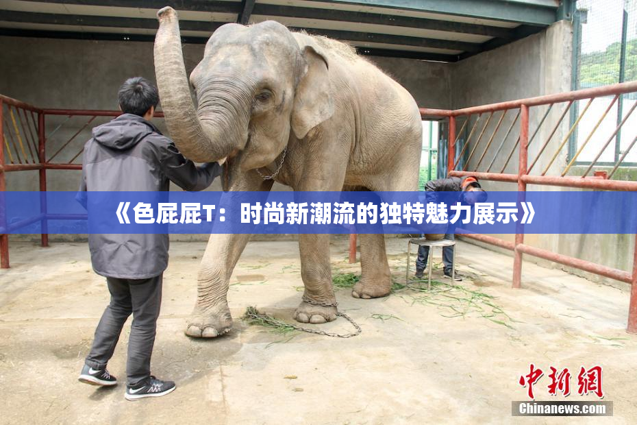 《色屁屁T：时尚新潮流的独特魅力展示》