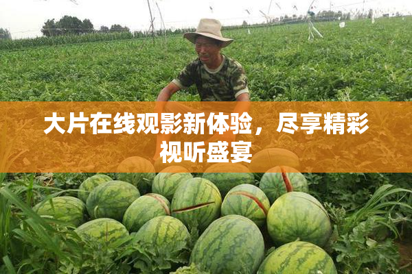 大片在线观影新体验，尽享精彩视听盛宴