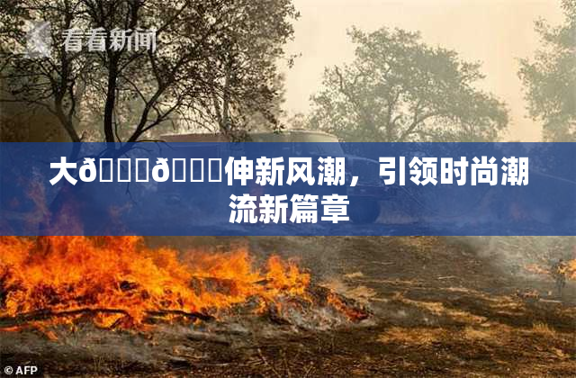 大🐔🐔伸新风潮，引领时尚潮流新篇章