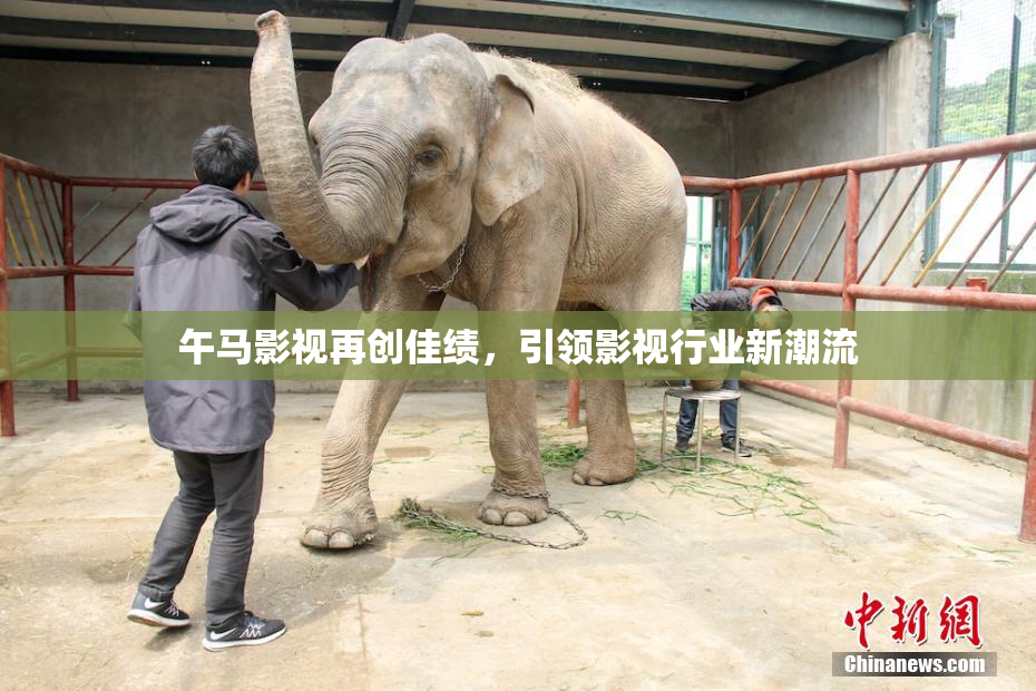 午马影视再创佳绩，引领影视行业新潮流