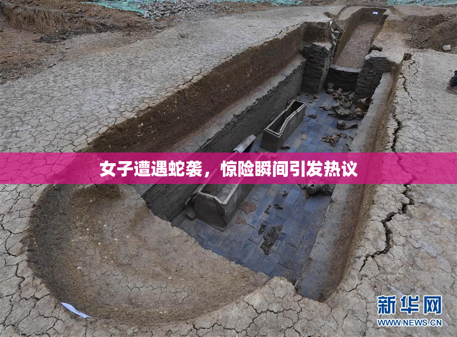 女子遭遇蛇袭，惊险瞬间引发热议