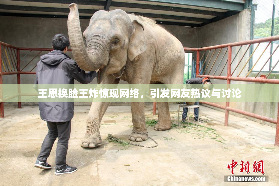 王思换脸王炸惊现网络，引发网友热议与讨论