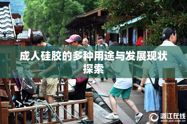 成人硅胶的多种用途与发展现状探索