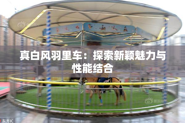真白风羽里车：探索新颖魅力与性能结合