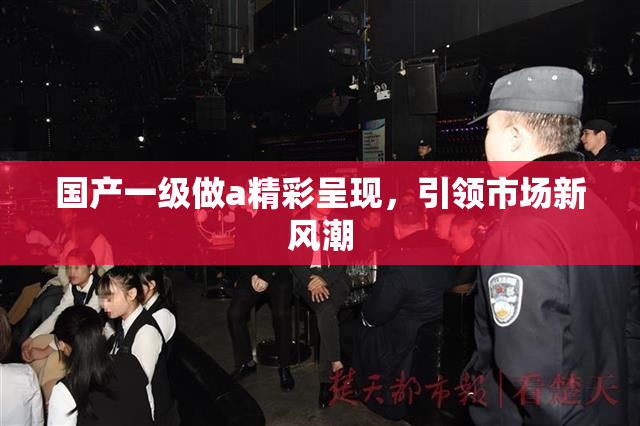 国产一级做a精彩呈现，引领市场新风潮