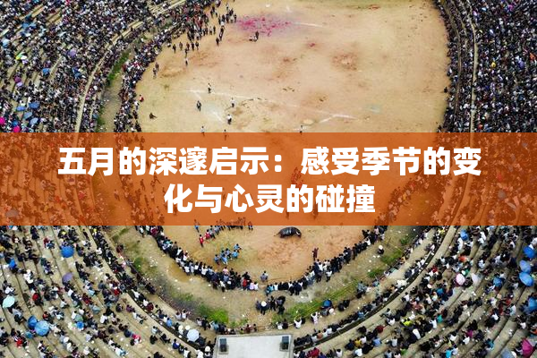 五月的深邃启示：感受季节的变化与心灵的碰撞