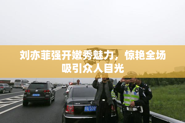 刘亦菲强开嫩秀魅力，惊艳全场吸引众人目光
