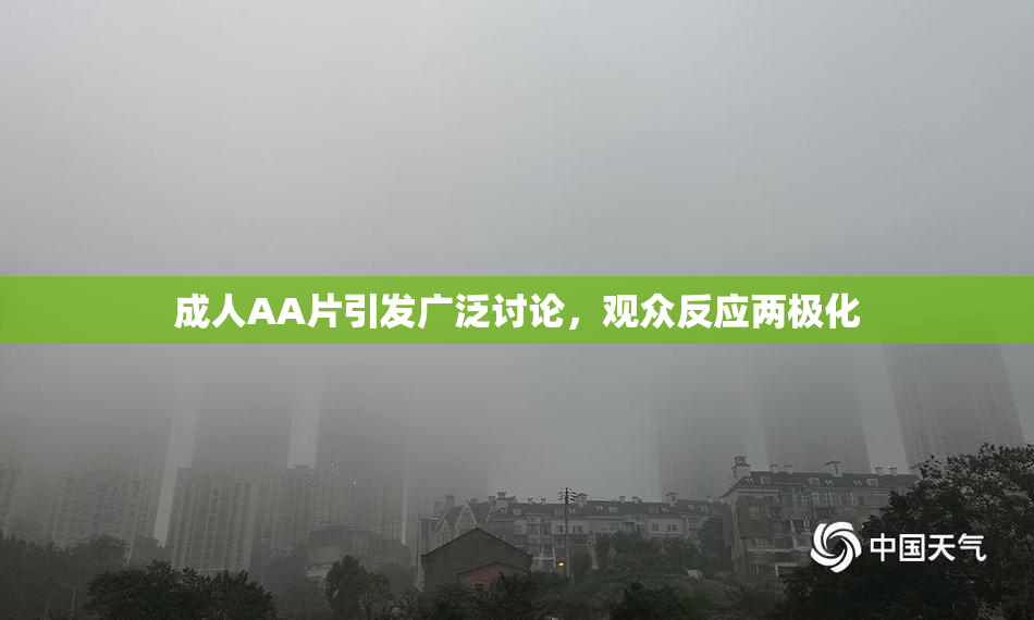 成人AA片引发广泛讨论，观众反应两极化
