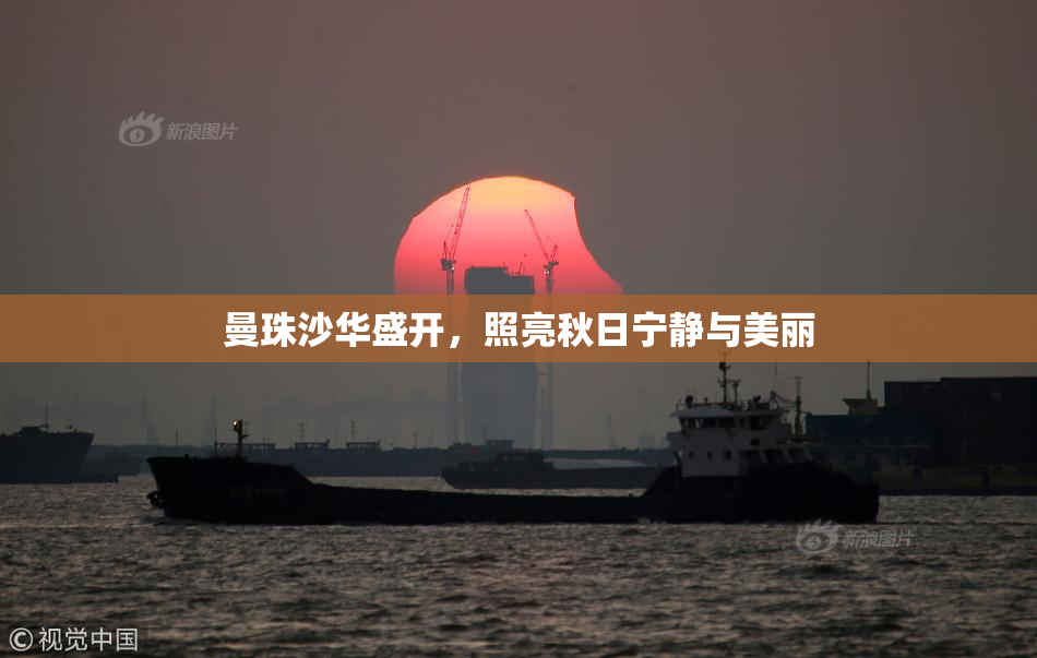 曼珠沙华盛开，照亮秋日宁静与美丽
