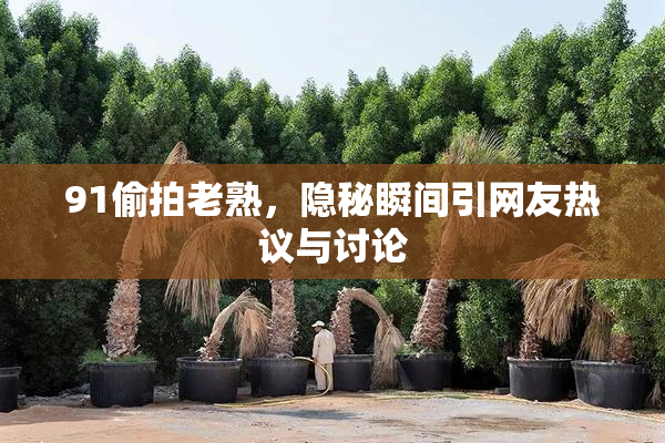 91偷拍老熟，隐秘瞬间引网友热议与讨论