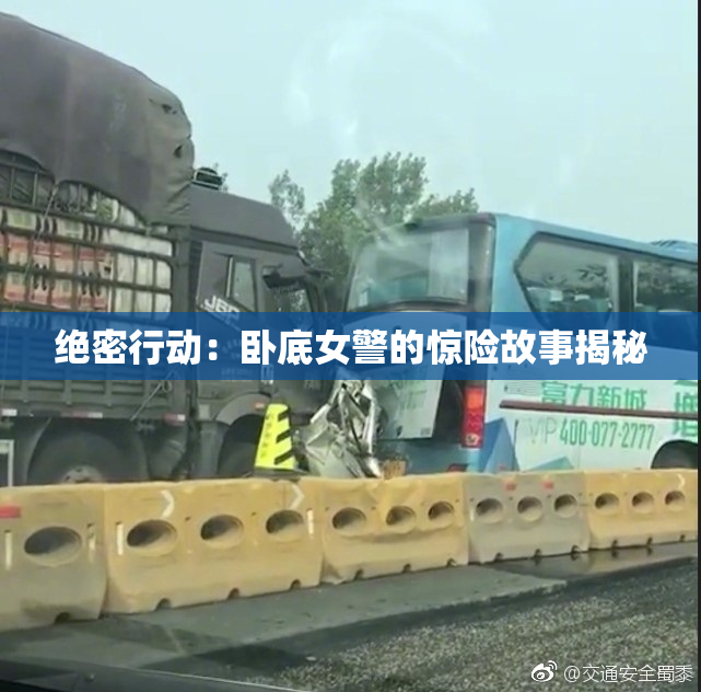 绝密行动：卧底女警的惊险故事揭秘
