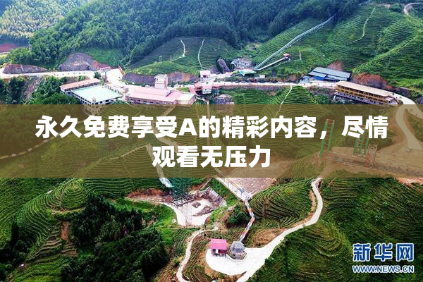 永久免费享受A的精彩内容，尽情观看无压力