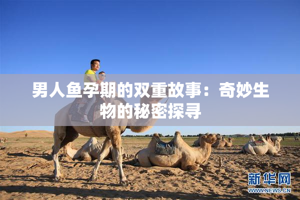 男人鱼孕期的双重故事：奇妙生物的秘密探寻