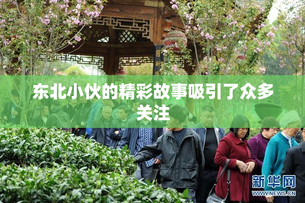 东北小伙的精彩故事吸引了众多关注