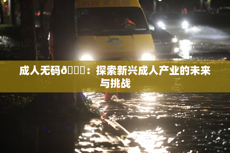成人无码🔞：探索新兴成人产业的未来与挑战