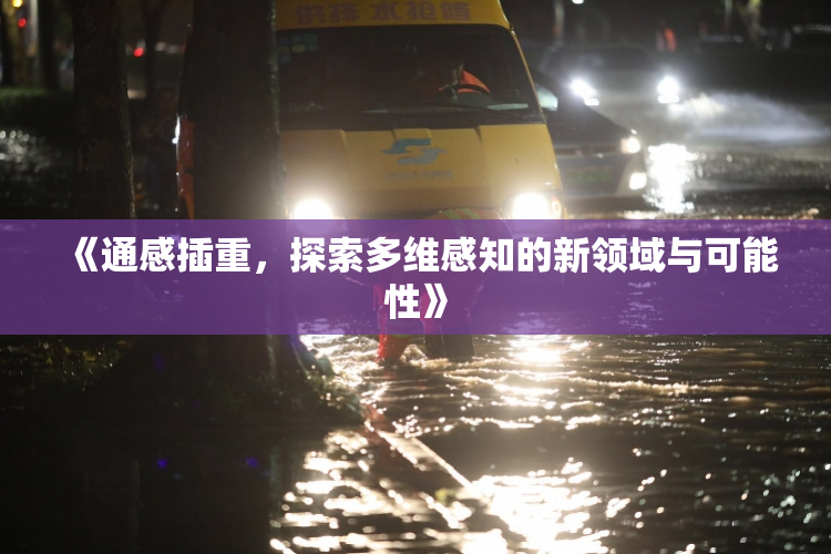 《通感插重，探索多维感知的新领域与可能性》