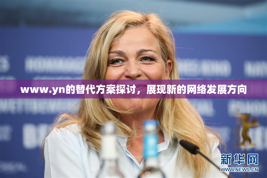 www.yn的替代方案探讨，展现新的网络发展方向