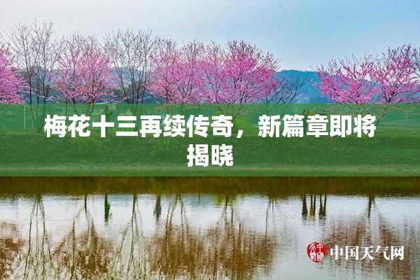 梅花十三再续传奇，新篇章即将揭晓
