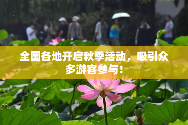 全国各地开启秋季活动，吸引众多游客参与！