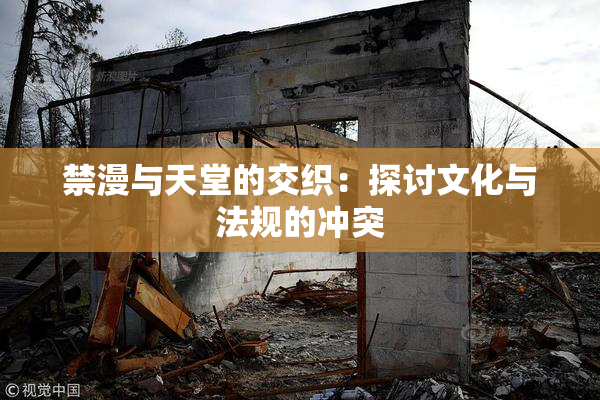 禁漫与天堂的交织：探讨文化与法规的冲突