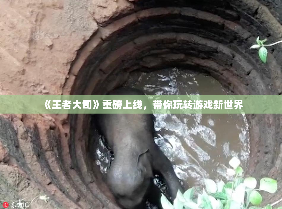 《王者大司》重磅上线，带你玩转游戏新世界