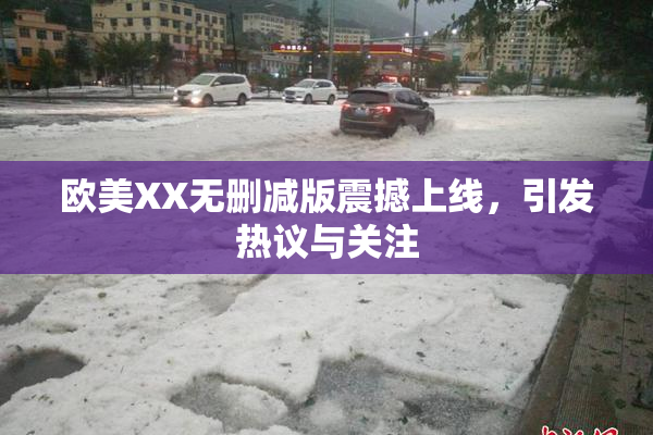 欧美XX无删减版震撼上线，引发热议与关注
