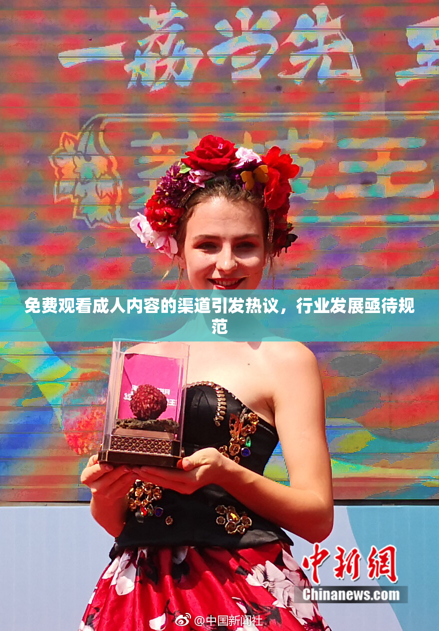 免费观看成人内容的渠道引发热议，行业发展亟待规范
