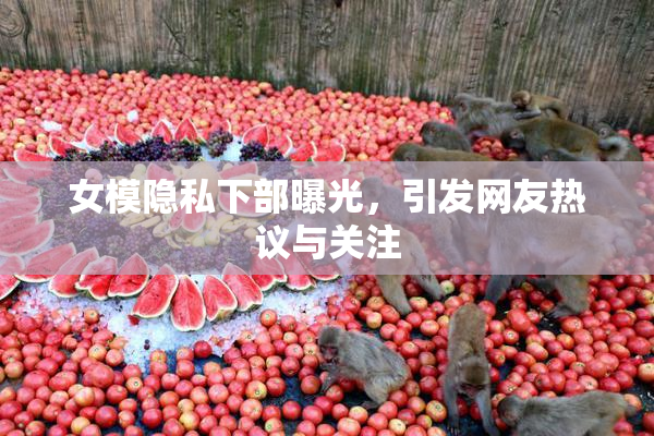 女模隐私下部曝光，引发网友热议与关注