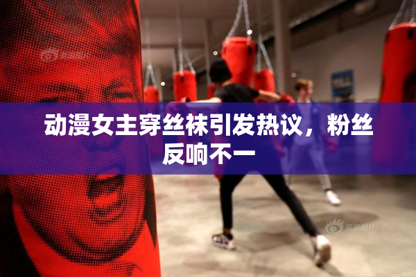动漫女主穿丝袜引发热议，粉丝反响不一
