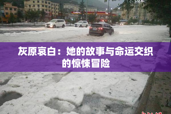 灰原哀白：她的故事与命运交织的惊悚冒险