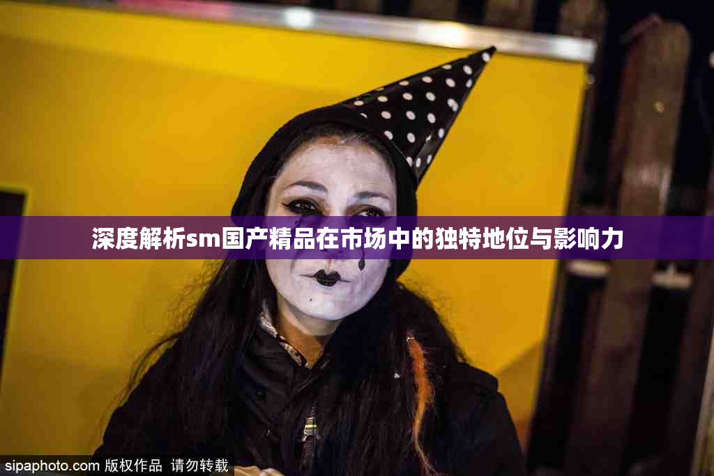 深度解析sm国产精品在市场中的独特地位与影响力