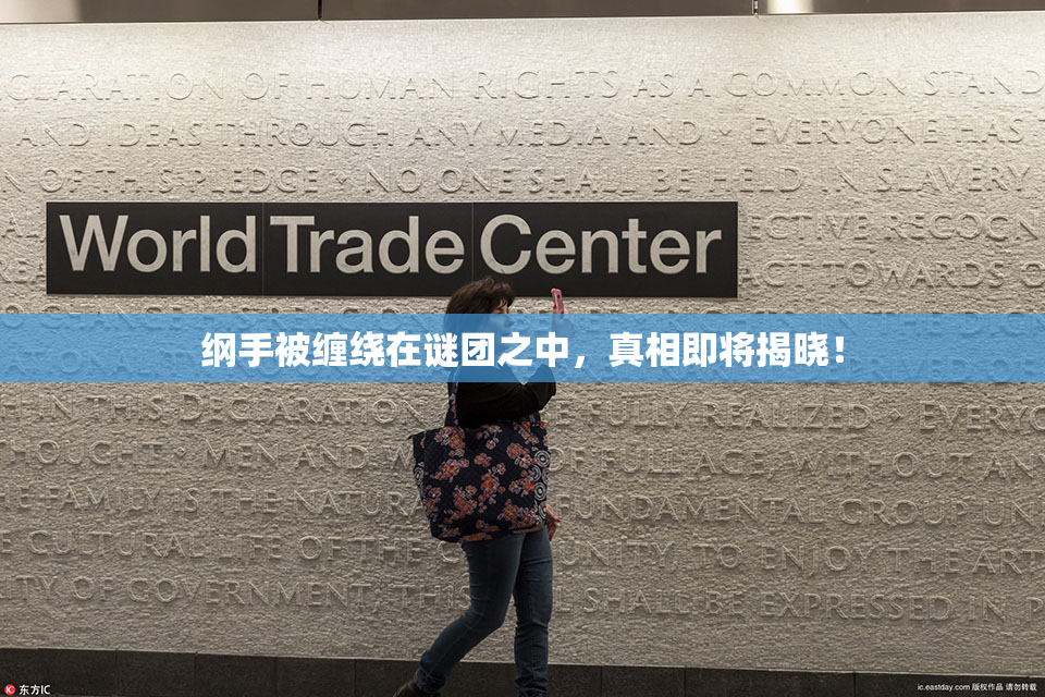 纲手被缠绕在谜团之中，真相即将揭晓！