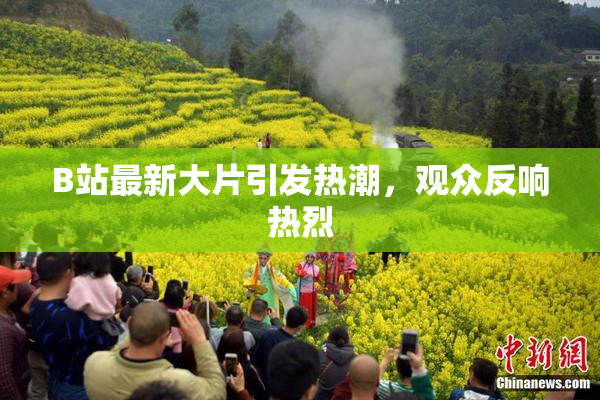 B站最新大片引发热潮，观众反响热烈