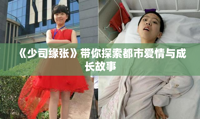 《少司缘张》带你探索都市爱情与成长故事