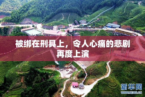 被绑在刑具上，令人心痛的悲剧再度上演