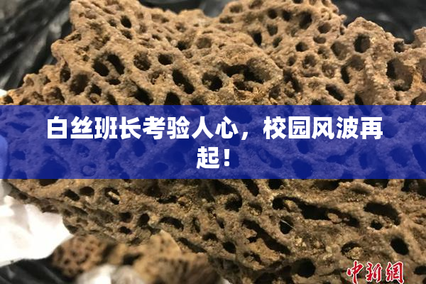 白丝班长考验人心，校园风波再起！